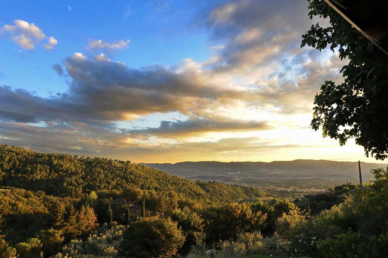 Agriturismo Borgo Mocale Castelfranco di Sopra Eksteriør bilde